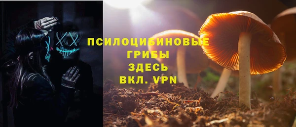 гидра Аркадак