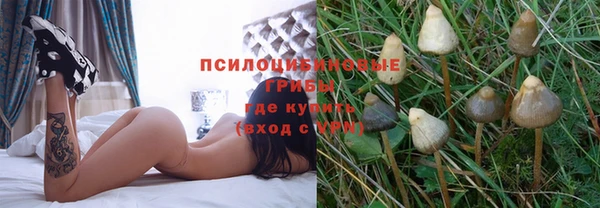 меф Арсеньев