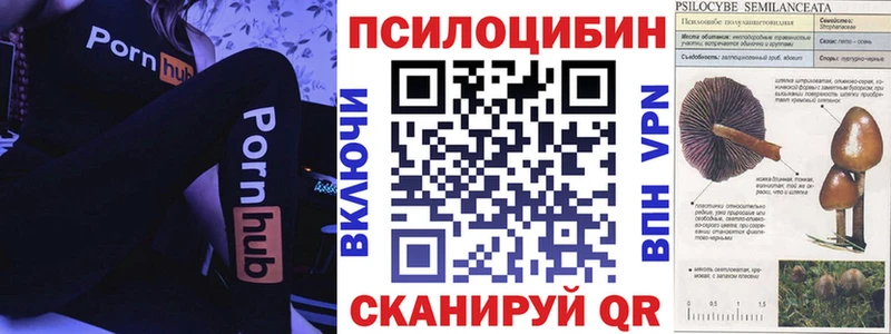 Галлюциногенные грибы Psilocybe  hydra сайт  Кондопога 